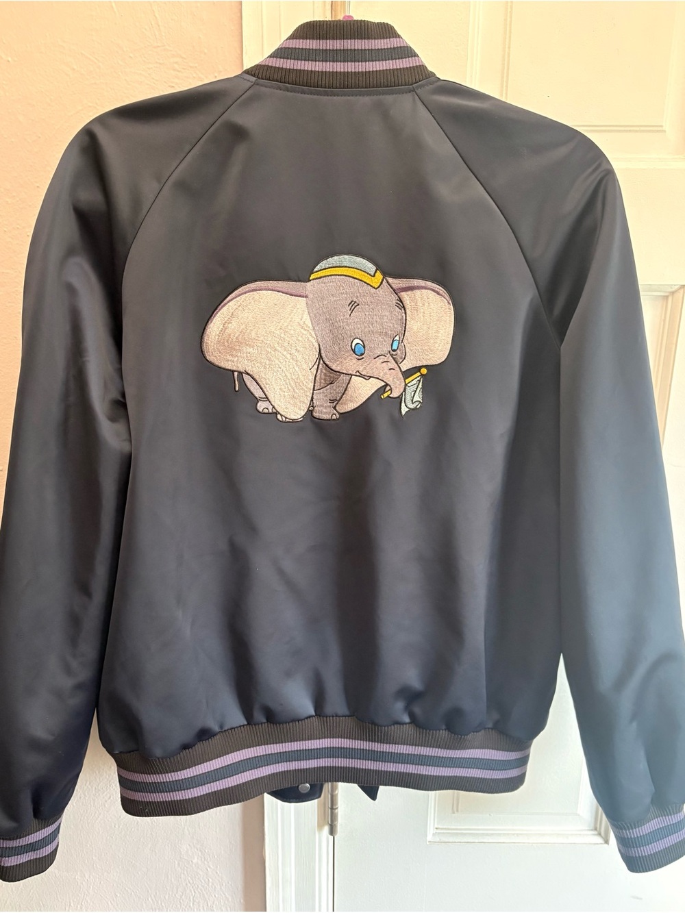 Disney X Coach Dumbo
Souvenir Jacket